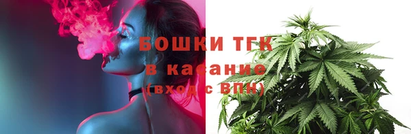 шишки Абинск