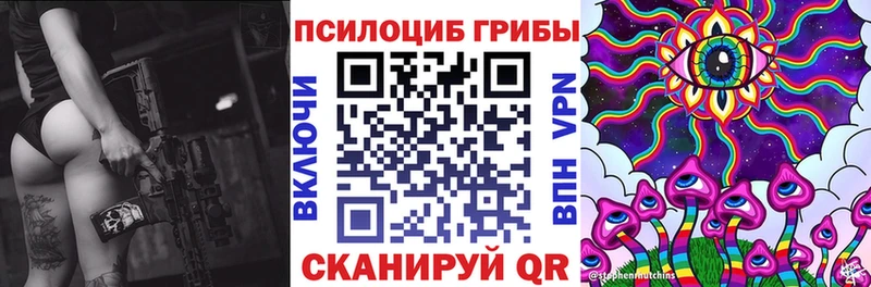 закладка  Шебекино  Галлюциногенные грибы Psilocybe 